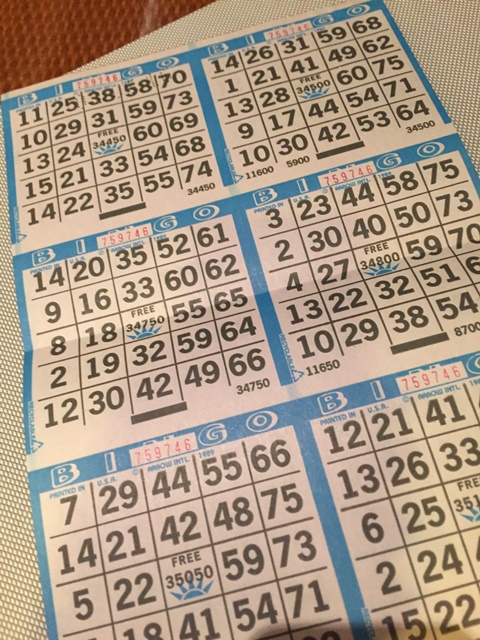 Gibbon Travel - My Travels - Cruise Ship