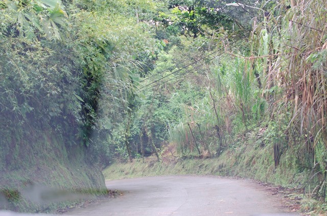 Gibbon Travel - My Travels - Costa Rican Roadtrip
