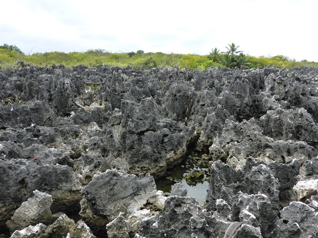 Gibbon Travel - My Travels - Cruising Destinations