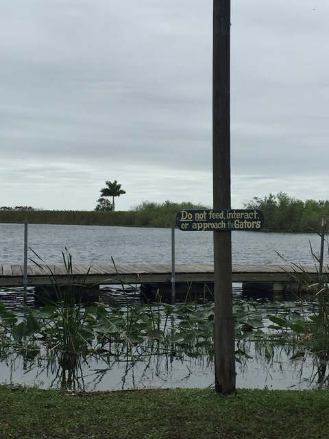 Gibbon Travel - My Travels - Cruising Destinations